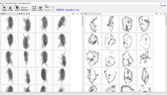 ZooCC浮游動物自動分類計數儀,浮游動物圖像掃描分析系統,浮游動物分析儀,浮游動物計數儀